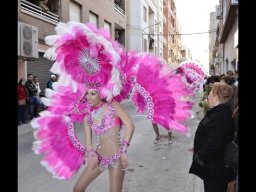 Carnaval de Mula 2013